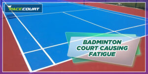 Badminton Court Challenges