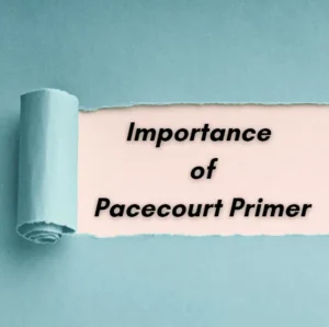 Why Pacecourt Primer Is So Important In Concrete?