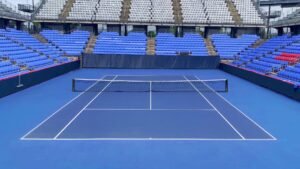 tennis surface color