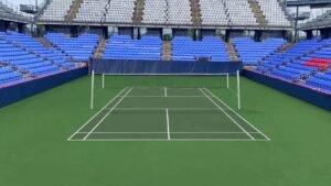 badminton court color