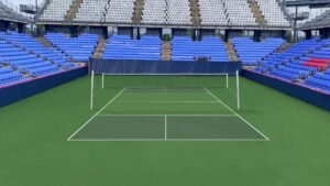 pickleball court colors