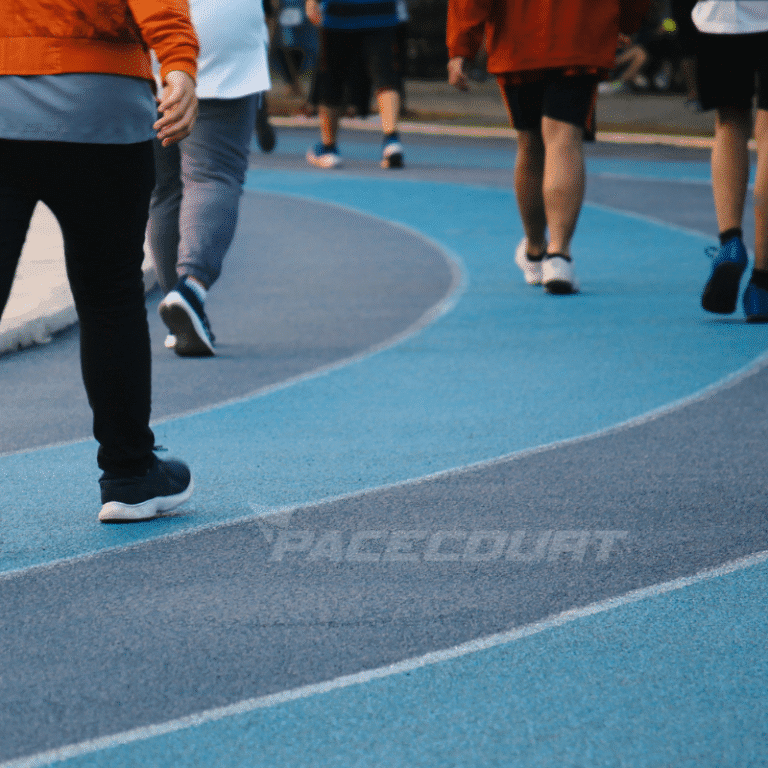 walking track (3)