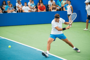 Lawn Tennis Court