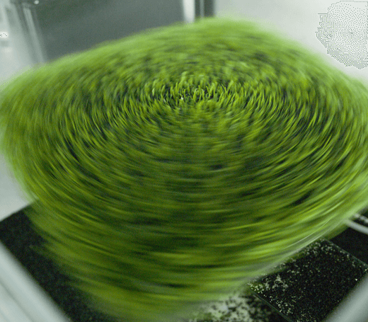 Sustainability-Led-by-Technology_