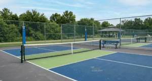 Pickleball Court Builder in Delhi